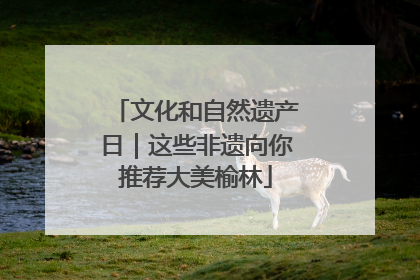 文化和自然遗产日｜这些非遗向你推荐大美榆林