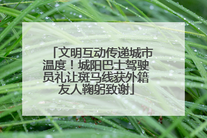 文明互动传递城市温度！城阳巴士驾驶员礼让斑马线获外籍友人鞠躬致谢