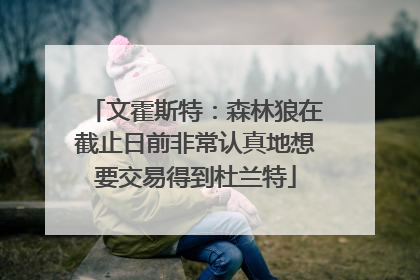 文霍斯特：森林狼在截止日前非常认真地想要交易得到杜兰特