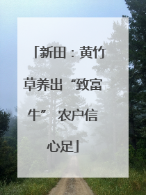 新田：黄竹草养出“致富牛” 农户信心足