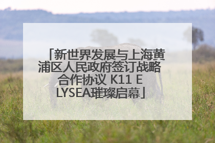 新世界发展与上海黄浦区人民政府签订战略合作协议 K11 ELYSEA璀璨启幕