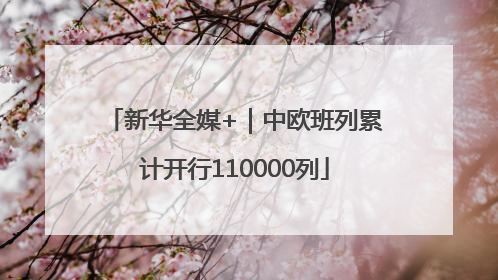 新华全媒+｜中欧班列累计开行110000列