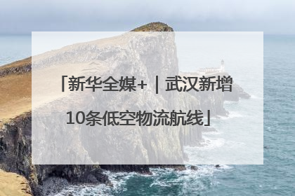 新华全媒+｜武汉新增10条低空物流航线