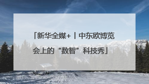 新华全媒+丨中东欧博览会上的“数智”科技秀