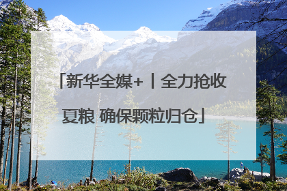 新华全媒+丨全力抢收夏粮 确保颗粒归仓