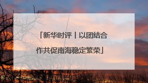 新华时评丨以团结合作共促南海稳定繁荣