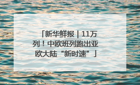 新华鲜报｜11万列！中欧班列跑出亚欧大陆“新时速”