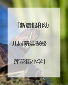 新晨锦和幼儿园萌娃探秘莲花街小学
