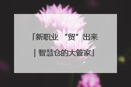 新职业 “贸”出来｜智慧仓的大管家