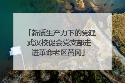 新质生产力下的党建 武汉校促会党支部走进革命老区黄冈