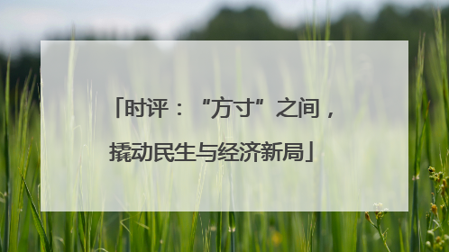 时评：“方寸”之间，撬动民生与经济新局