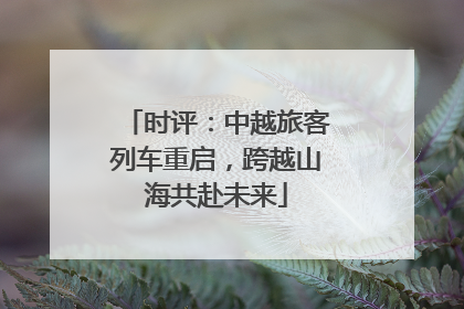 时评：中越旅客列车重启，跨越山海共赴未来