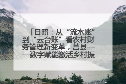 日照：从“流水账”到“云台账”看农村财务管理新变革，莒县——数字赋能激活乡村振兴“一池春水”
