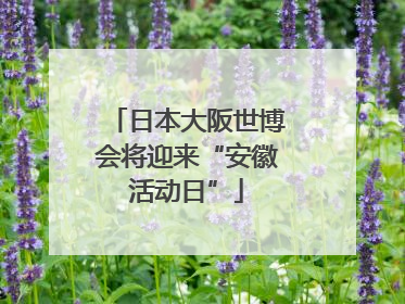日本大阪世博会将迎来“安徽活动日”