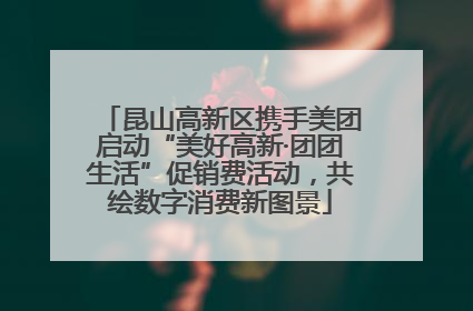 昆山高新区携手美团启动“美好高新·团团生活”促销费活动，共绘数字消费新图景