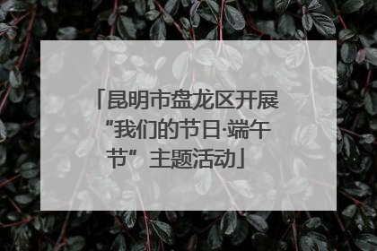 昆明市盘龙区开展“我们的节日·端午节”主题活动