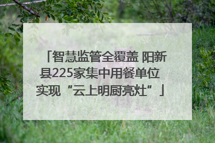 智慧监管全覆盖 阳新县225家集中用餐单位实现“云上明厨亮灶”
