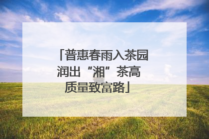 普惠春雨入茶园 润出“湘”茶高质量致富路