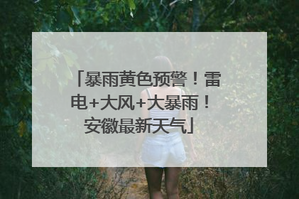 暴雨黄色预警！雷电+大风+大暴雨！安徽最新天气