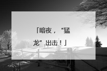 暗夜，“猛龙”出击！