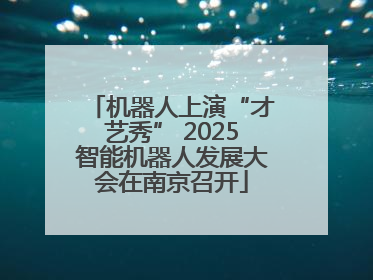 机器人上演“才艺秀” 2025智能机器人发展大会在南京召开