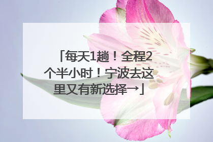 每天1趟！全程2个半小时！宁波去这里又有新选择→