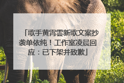 歌手黄霄雲新歌文案抄袭单依纯！工作室凌晨回应：已下架并致歉