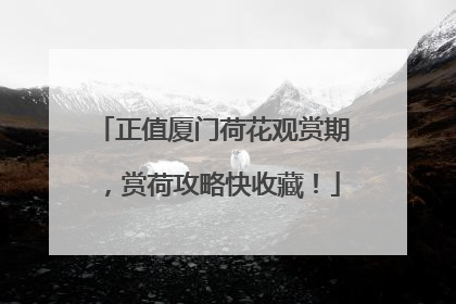 正值厦门荷花观赏期，赏荷攻略快收藏！