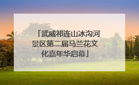 武威祁连山冰沟河景区第二届马兰花文化嘉年华启幕