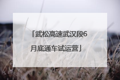 武松高速武汉段6月底通车试运营
