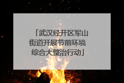 武汉经开区军山街道开展节前环境综合大整治行动