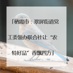 栖霞市：翠屏街道党工委领办联合社让“农特好品”香飘四方