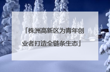 株洲高新区为青年创业者打造全链条生态
