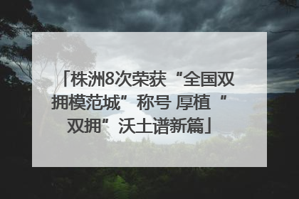 株洲8次荣获“全国双拥模范城”称号 厚植“双拥”沃土谱新篇