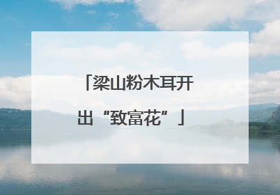 梁山粉木耳开出“致富花”