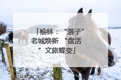 榆林：“落子”老城焕新 “盘活”文旅蝶变