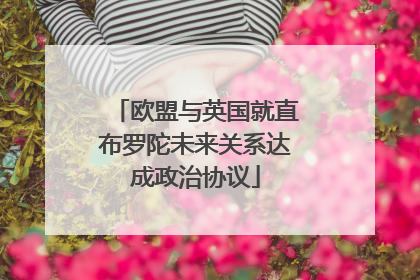 欧盟与英国就直布罗陀未来关系达成政治协议