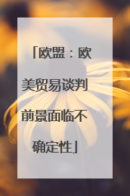 欧盟：欧美贸易谈判前景面临不确定性