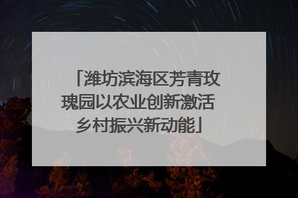 潍坊滨海区芳青玫瑰园以农业创新激活乡村振兴新动能