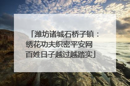潍坊诸城石桥子镇：绣花功夫织密平安网 百姓日子越过越踏实