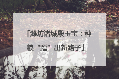 潍坊诸城殷玉宝：种粮“蹚”出新路子