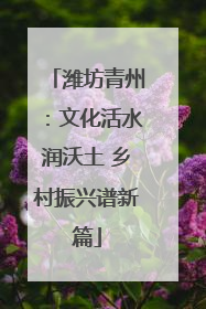 潍坊青州：文化活水润沃土 乡村振兴谱新篇