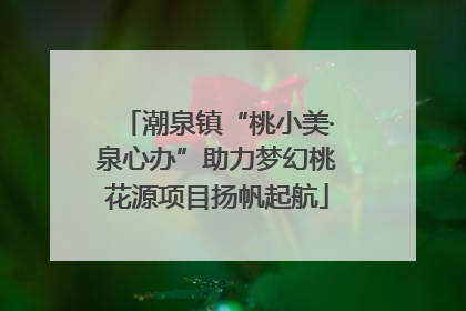 潮泉镇“桃小美·泉心办”助力梦幻桃花源项目扬帆起航