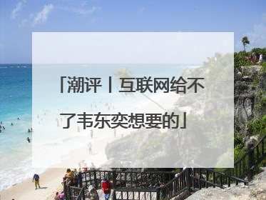 潮评丨互联网给不了韦东奕想要的