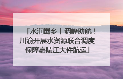 水润蜀乡丨调峰助航！川渝开展水资源联合调度保障嘉陵江大件航运