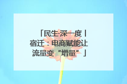 民生·深一度丨宿迁：电商赋能让流量变“增量”