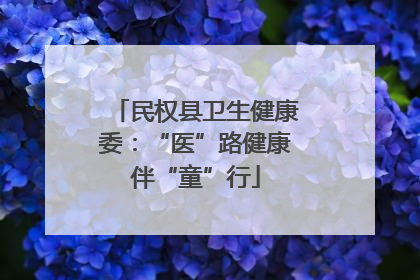 民权县卫生健康委：“医”路健康伴“童”行