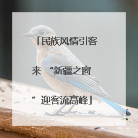 民族风情引客来 “新疆之窗”迎客流高峰