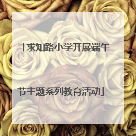 求知路小学开展端午节主题系列教育活动