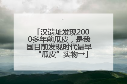 汉遗址发现2000多年前瓜皮，是我国目前发现时代最早“瓜皮”实物→